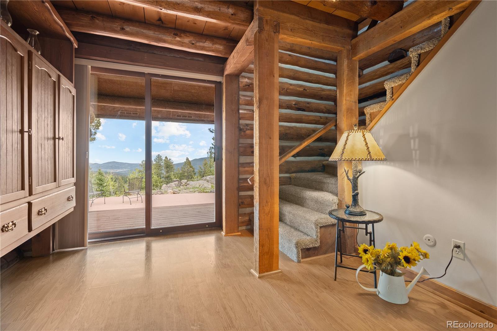 MLS Image #10 for 29611  marys drive,conifer, Colorado