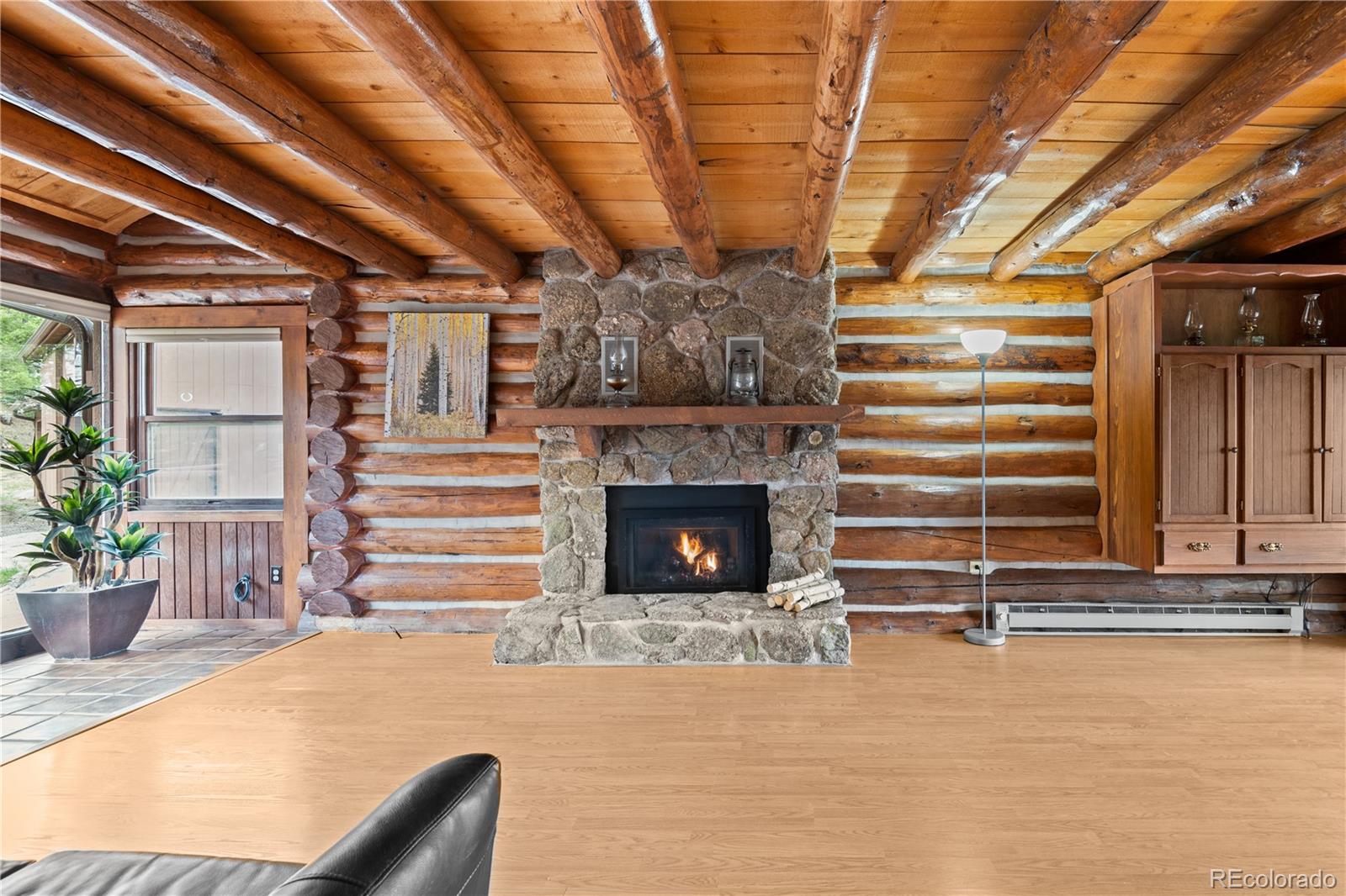 MLS Image #12 for 29611  marys drive,conifer, Colorado