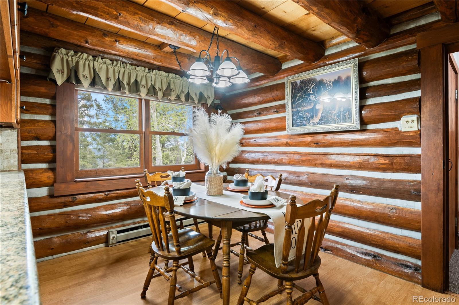 MLS Image #18 for 29611  marys drive,conifer, Colorado