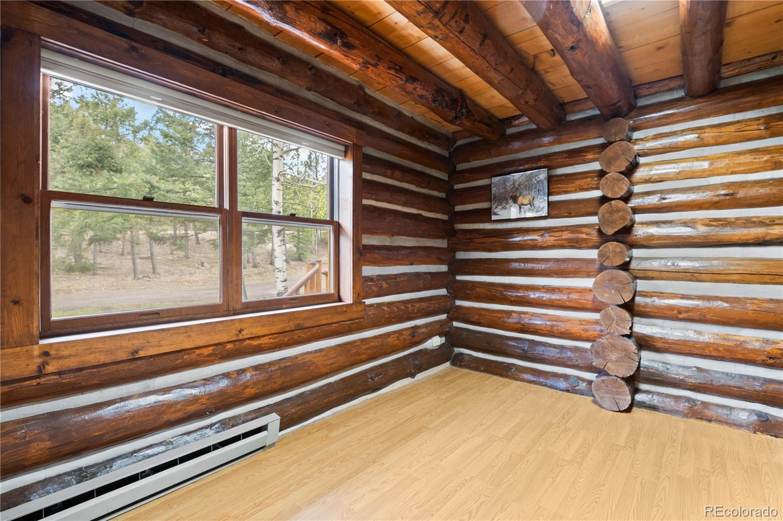 MLS Image #19 for 29611  marys drive,conifer, Colorado