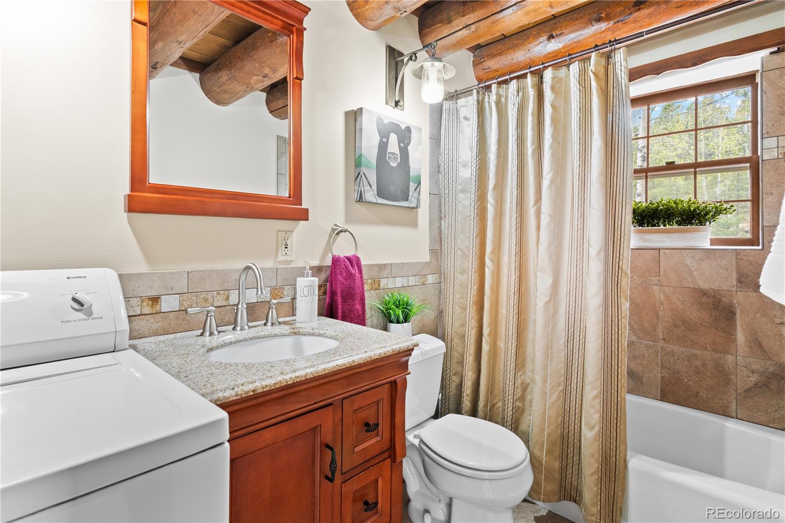 MLS Image #21 for 29611  marys drive,conifer, Colorado