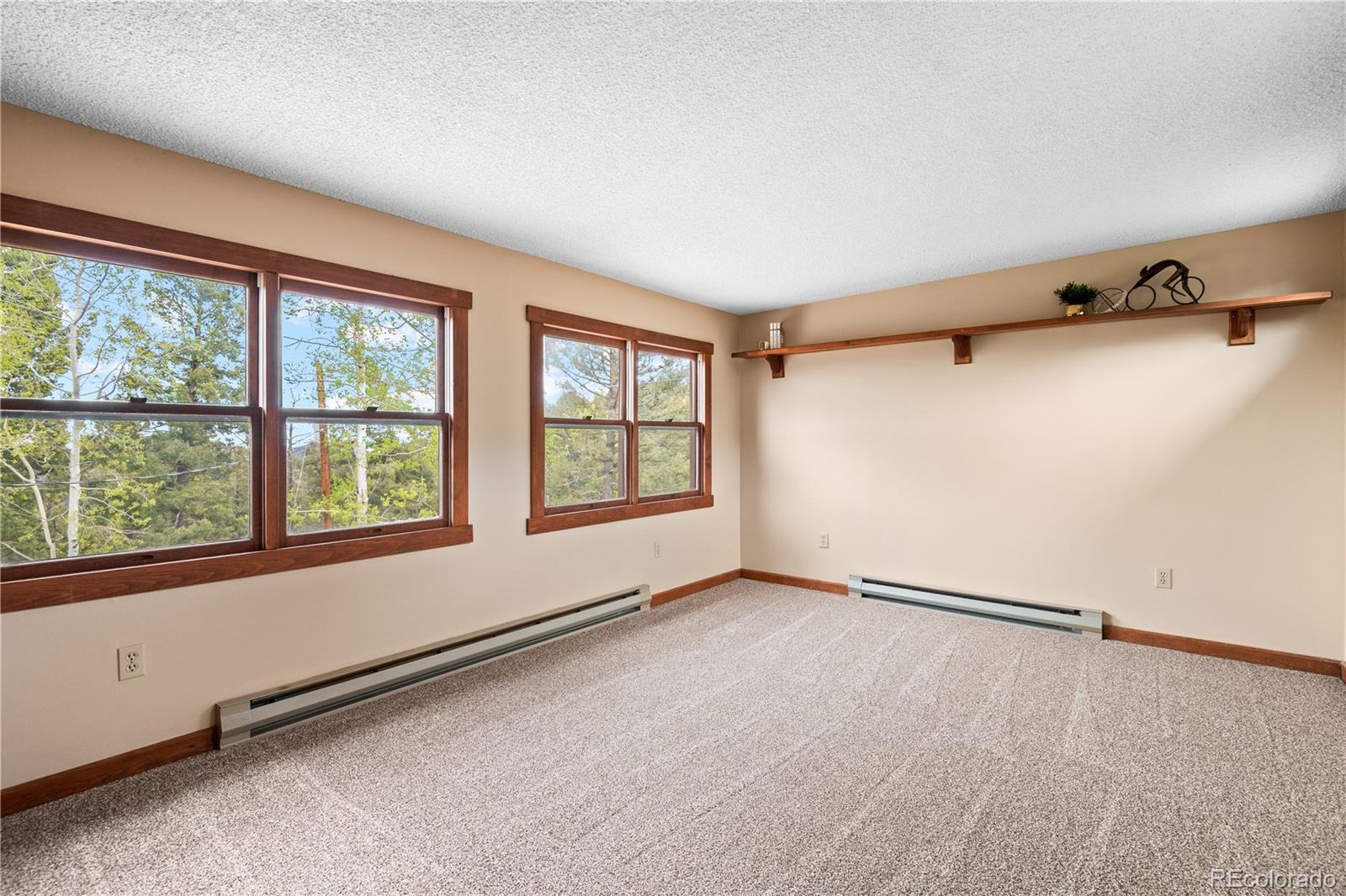 MLS Image #22 for 29611  marys drive,conifer, Colorado