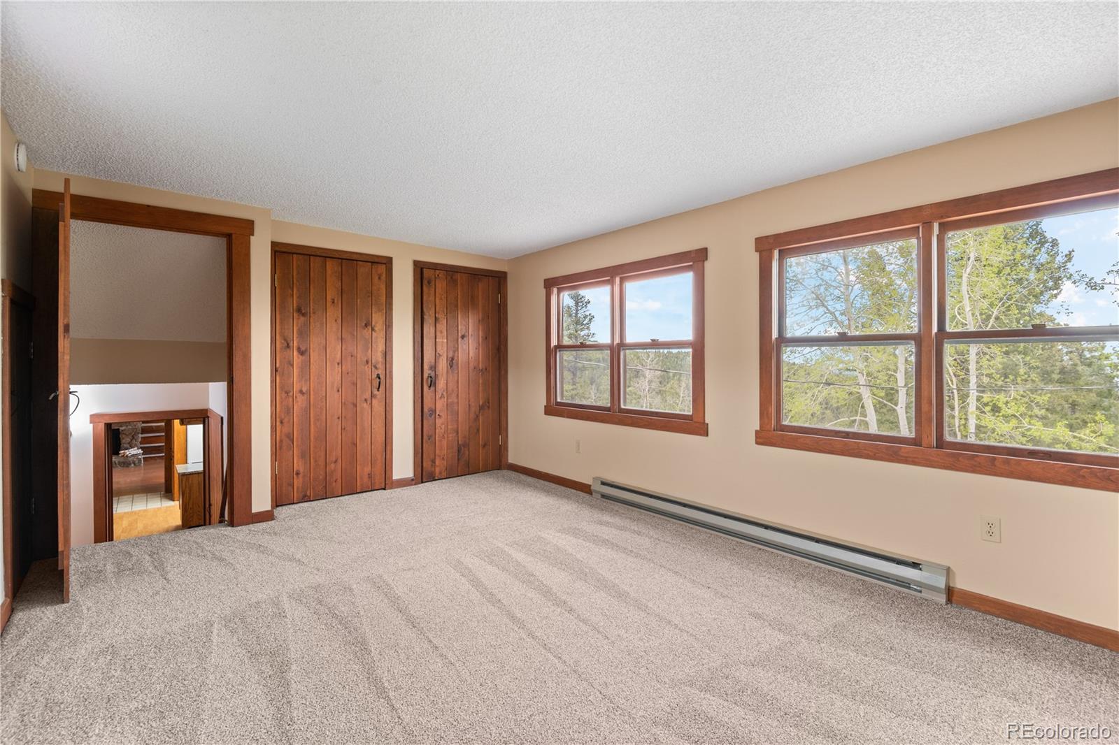 MLS Image #23 for 29611  marys drive,conifer, Colorado