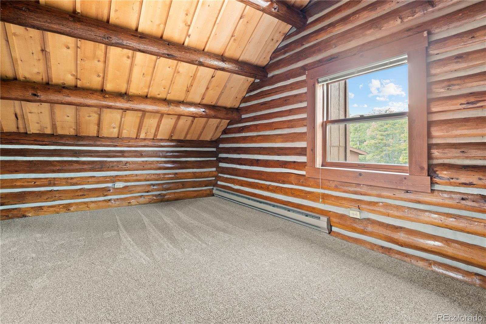 MLS Image #24 for 29611  marys drive,conifer, Colorado
