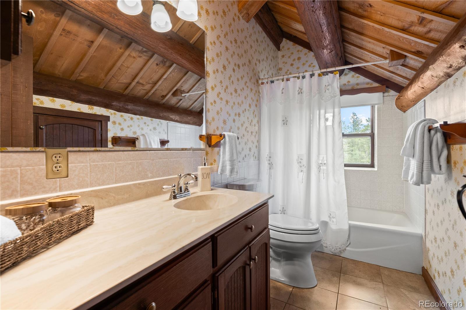 MLS Image #26 for 29611  marys drive,conifer, Colorado