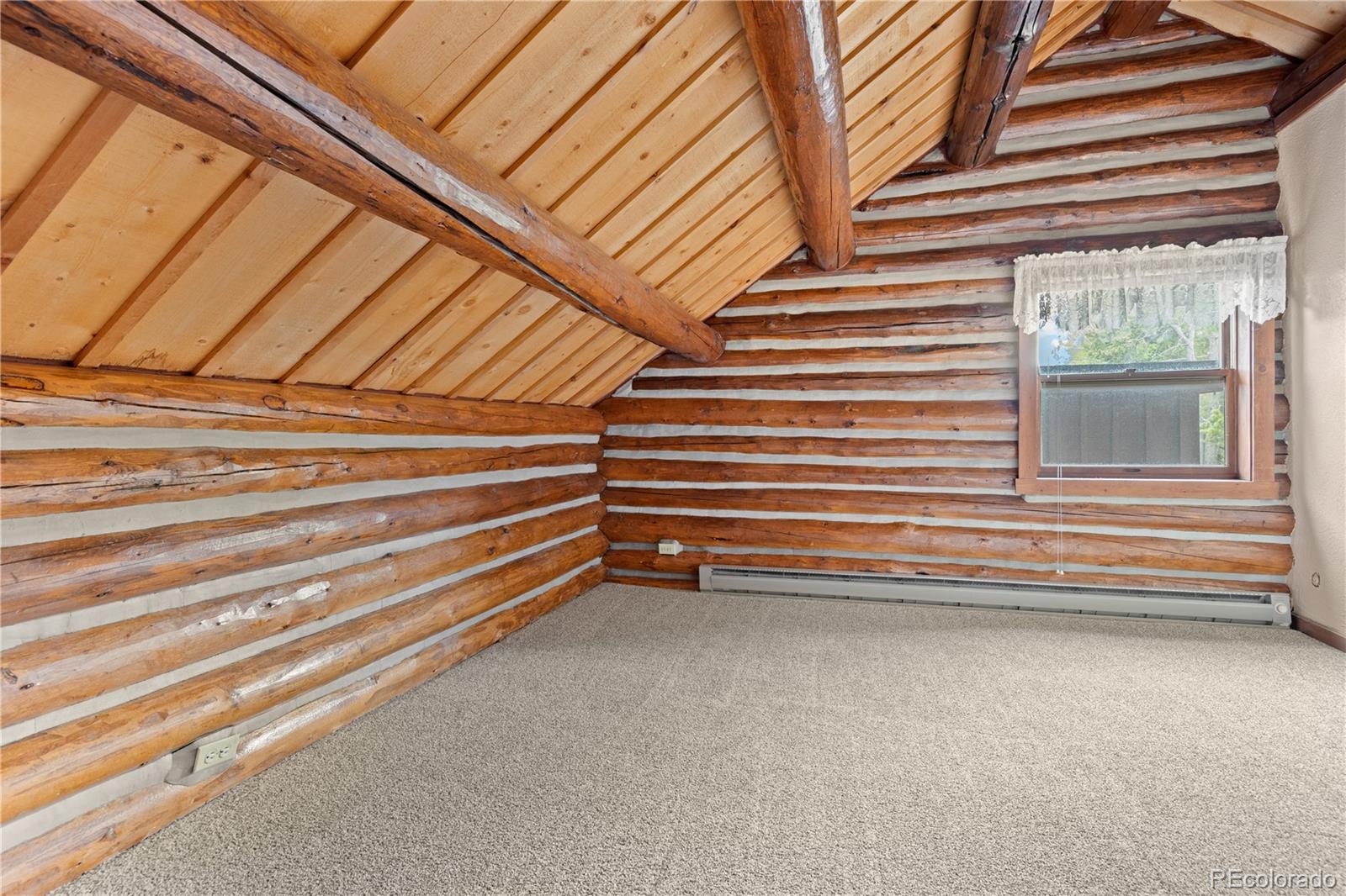 MLS Image #27 for 29611  marys drive,conifer, Colorado