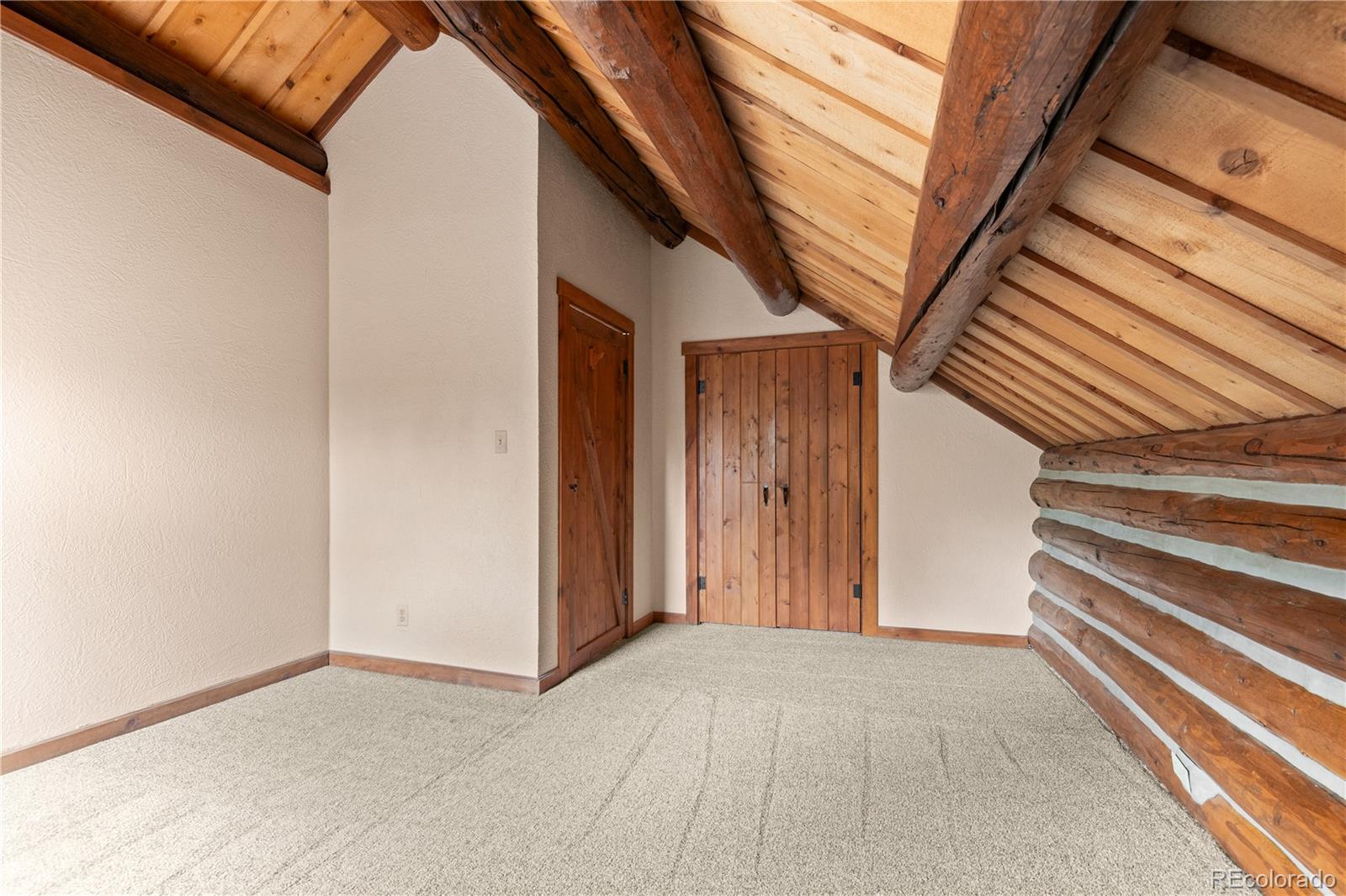 MLS Image #28 for 29611  marys drive,conifer, Colorado