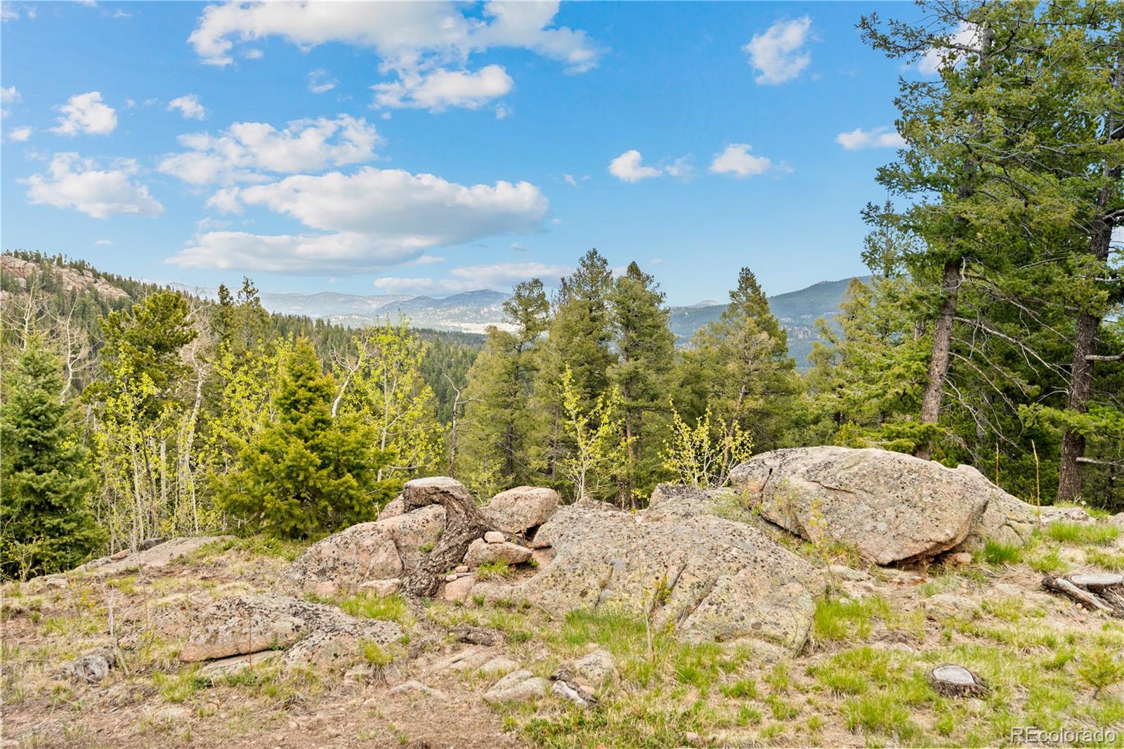 MLS Image #39 for 29611  marys drive,conifer, Colorado