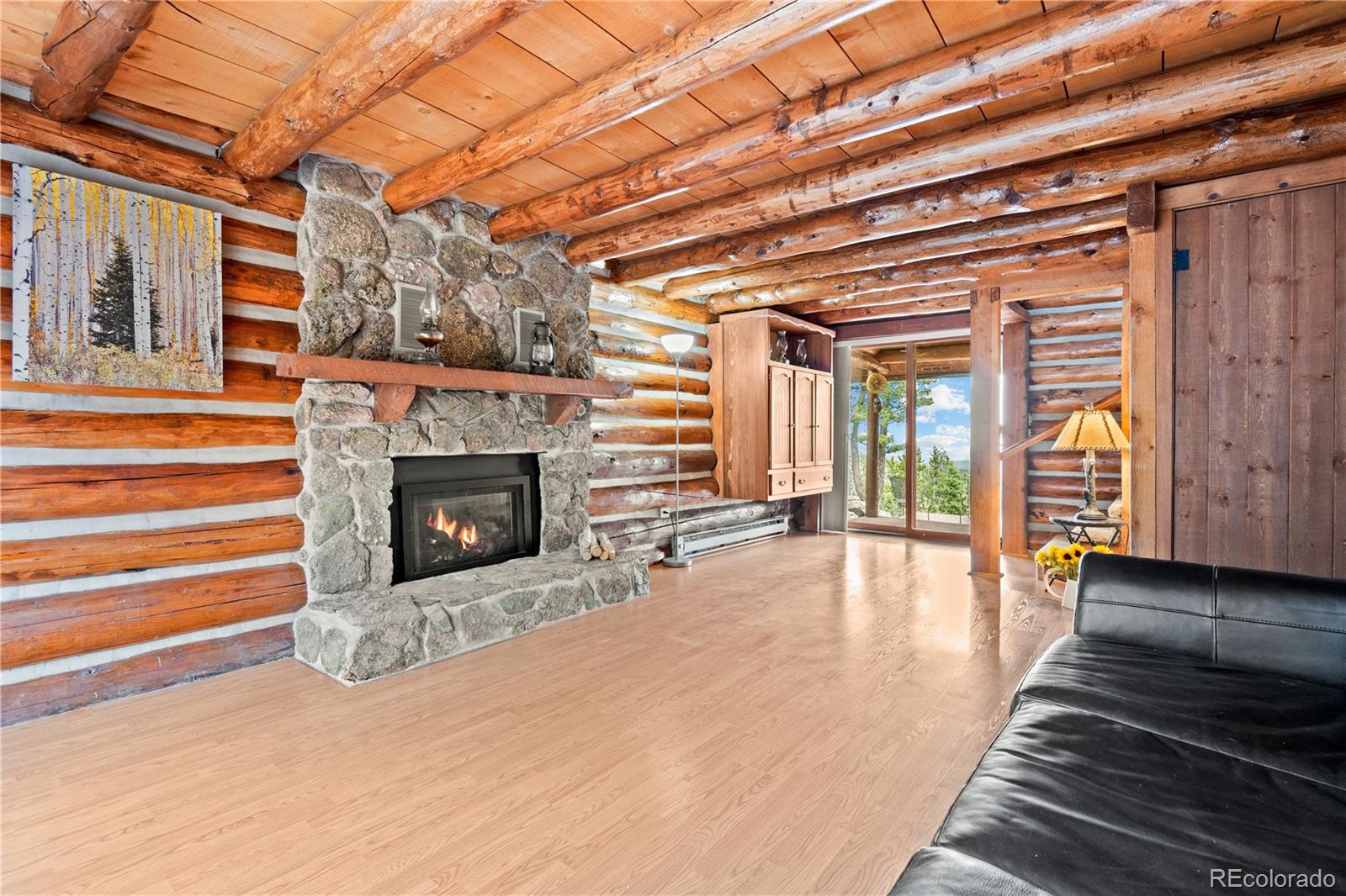 MLS Image #8 for 29611  marys drive,conifer, Colorado