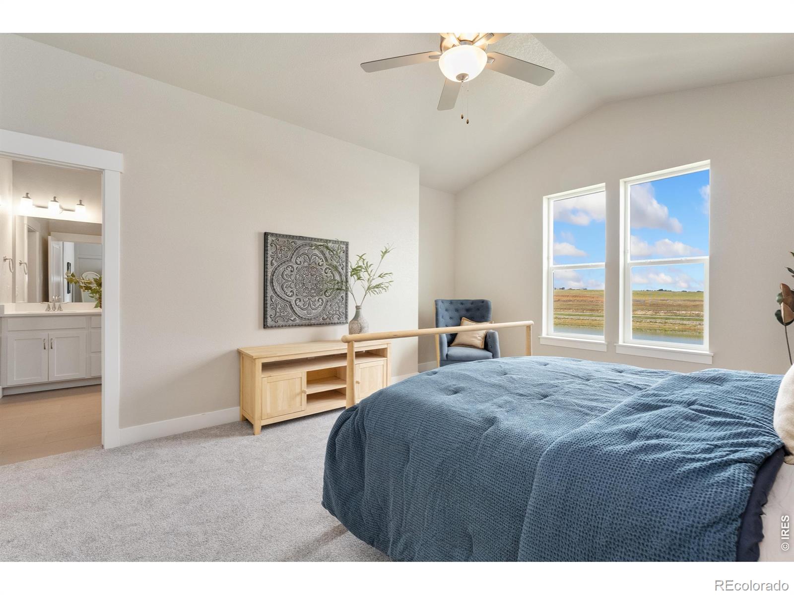 MLS Image #12 for 6224  vernazza way,windsor, Colorado