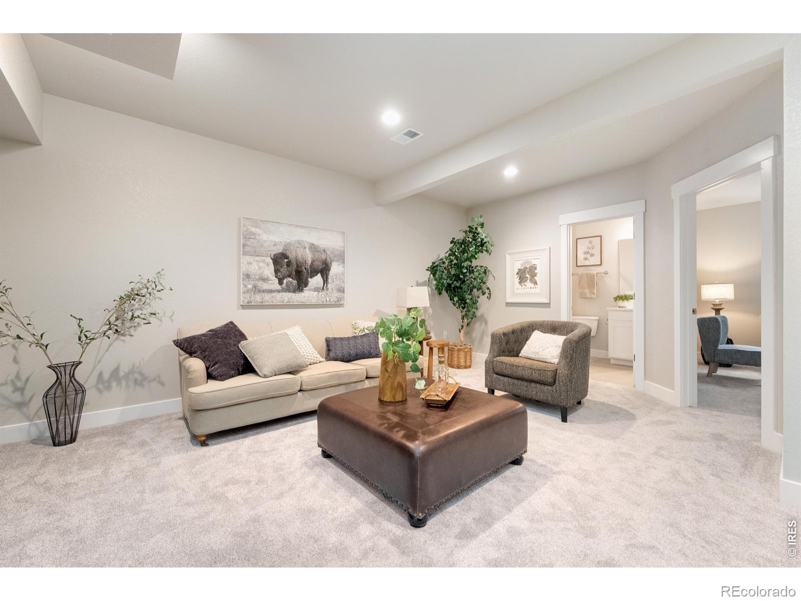 MLS Image #24 for 6224  vernazza way,windsor, Colorado