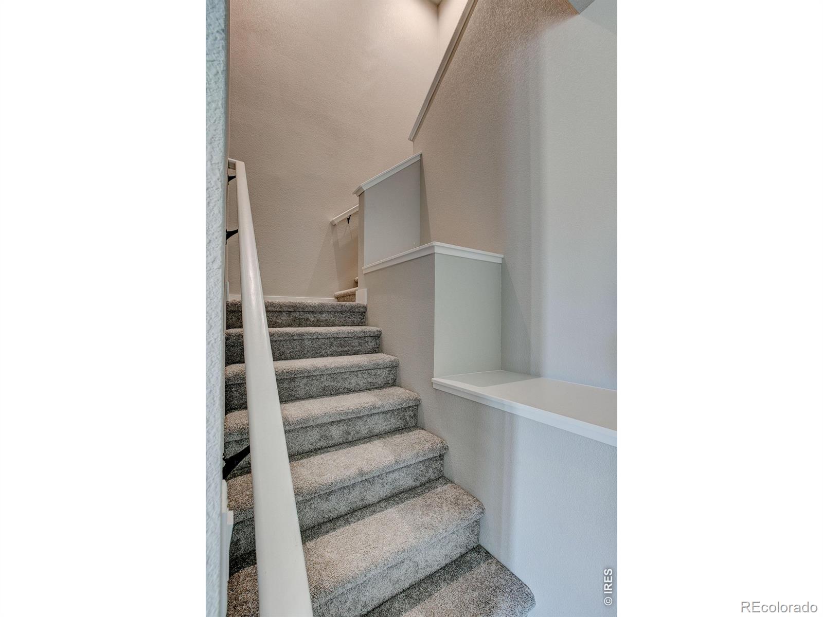 MLS Image #8 for 214  high point drive,longmont, Colorado