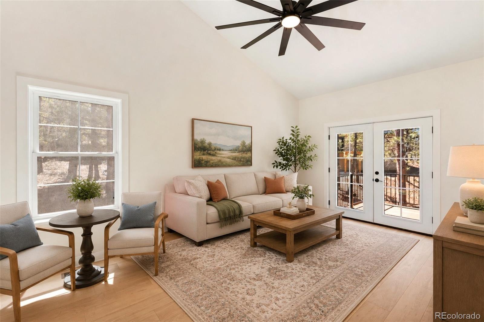 MLS Image #14 for 240  insmont lane,florissant, Colorado