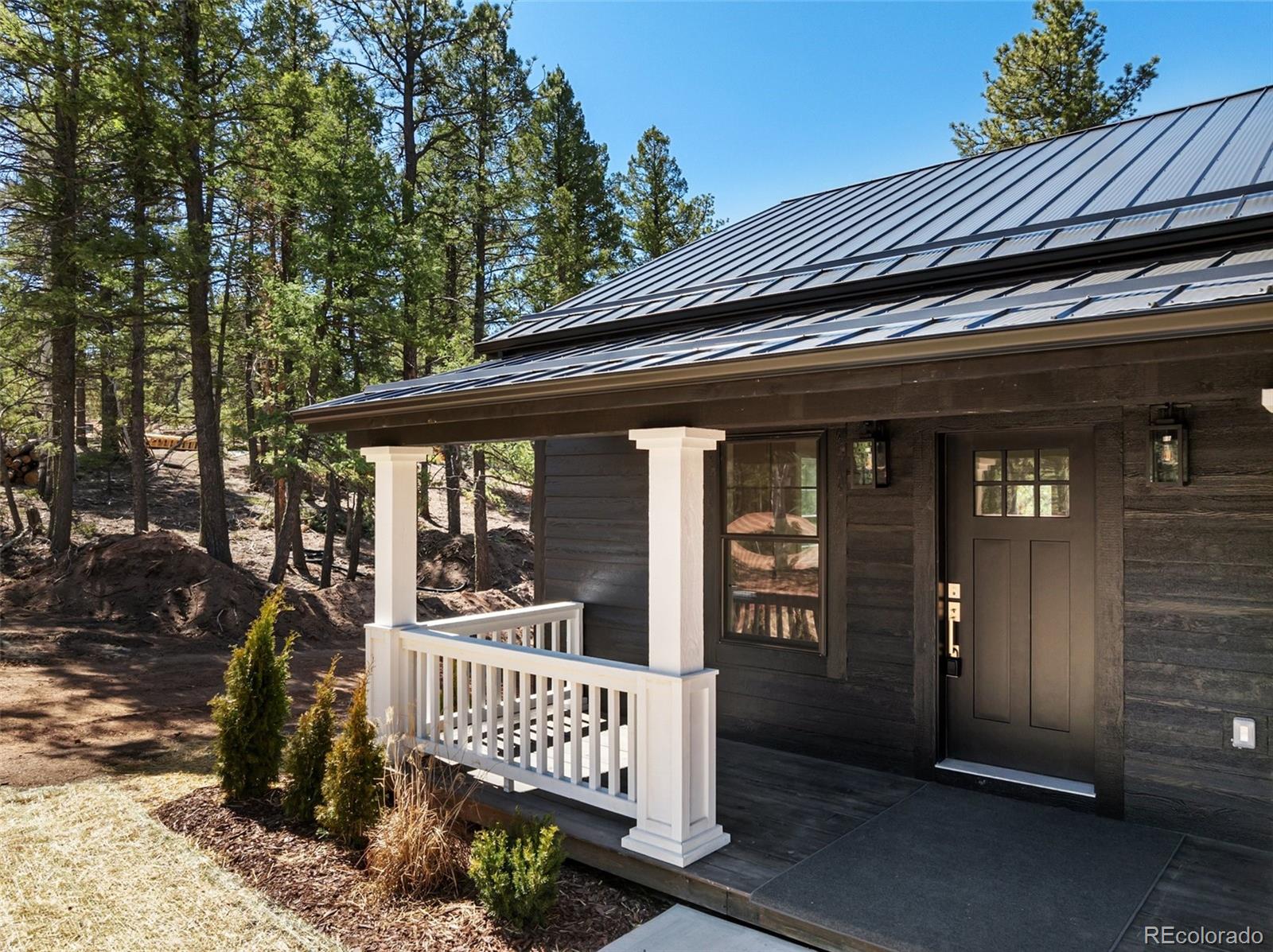 MLS Image #3 for 240  insmont lane,florissant, Colorado