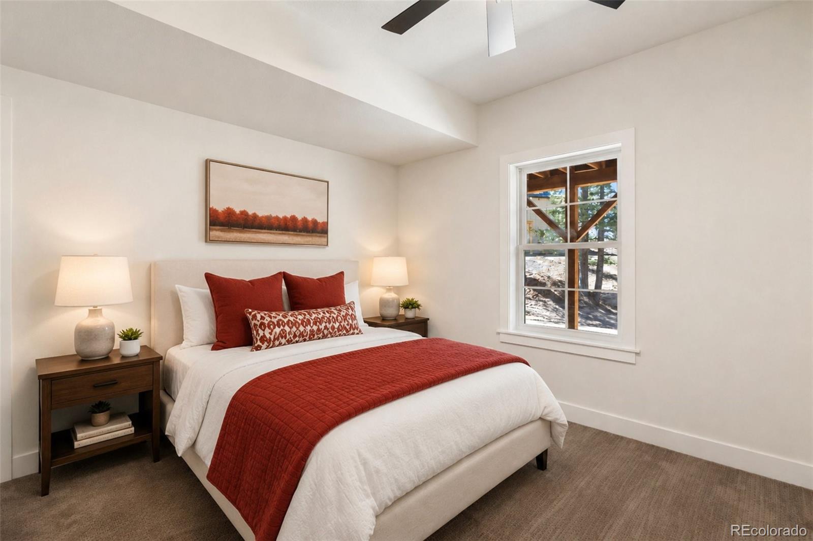 MLS Image #42 for 240  insmont lane,florissant, Colorado