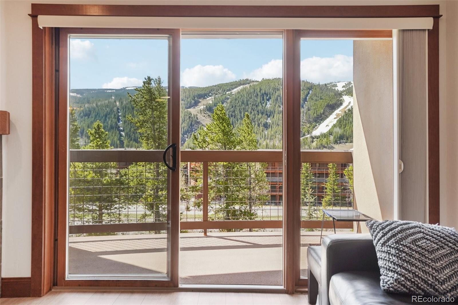 MLS Image #3 for 22787  us highway 6 ,keystone, Colorado