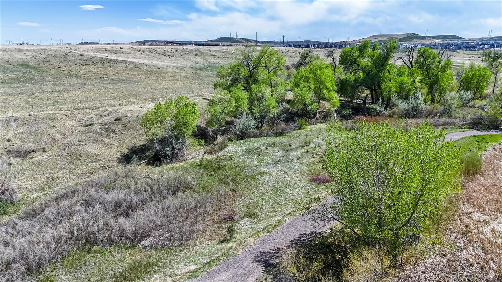 MLS Image #36 for 10319  nottingham drive,parker, Colorado