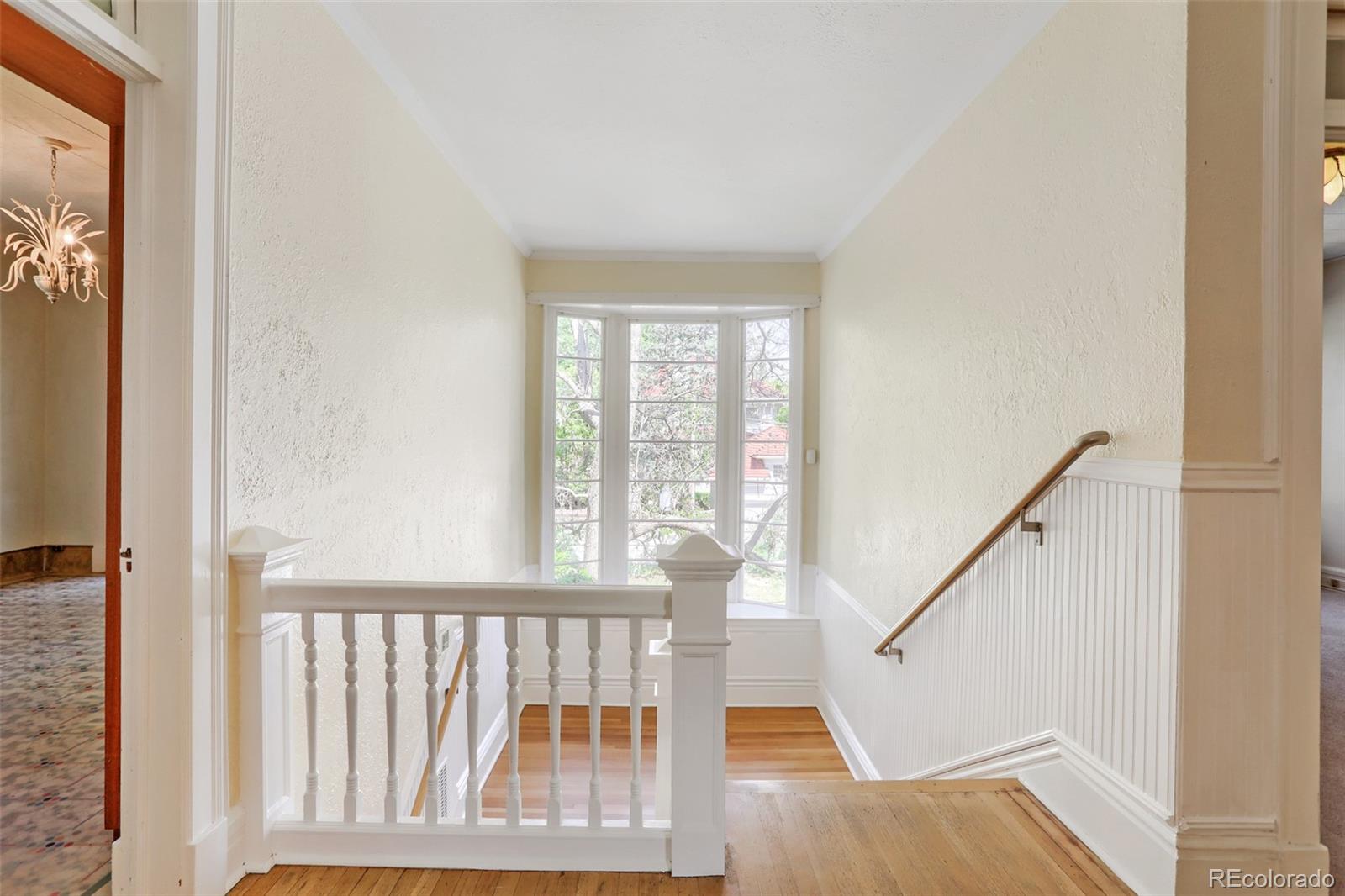 MLS Image #12 for 684 n downing street,denver, Colorado