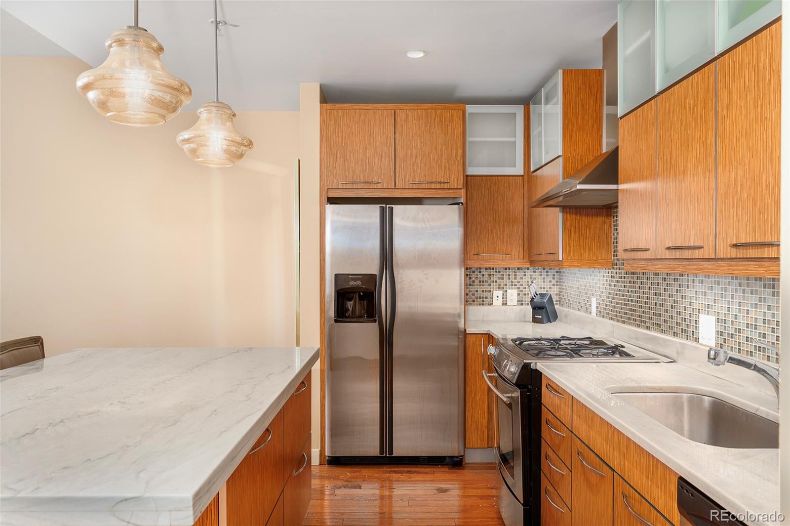 MLS Image #2 for 410  acoma street 203,denver, Colorado