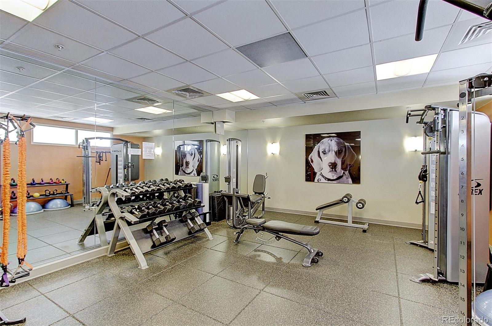 MLS Image #22 for 410  acoma street 203,denver, Colorado