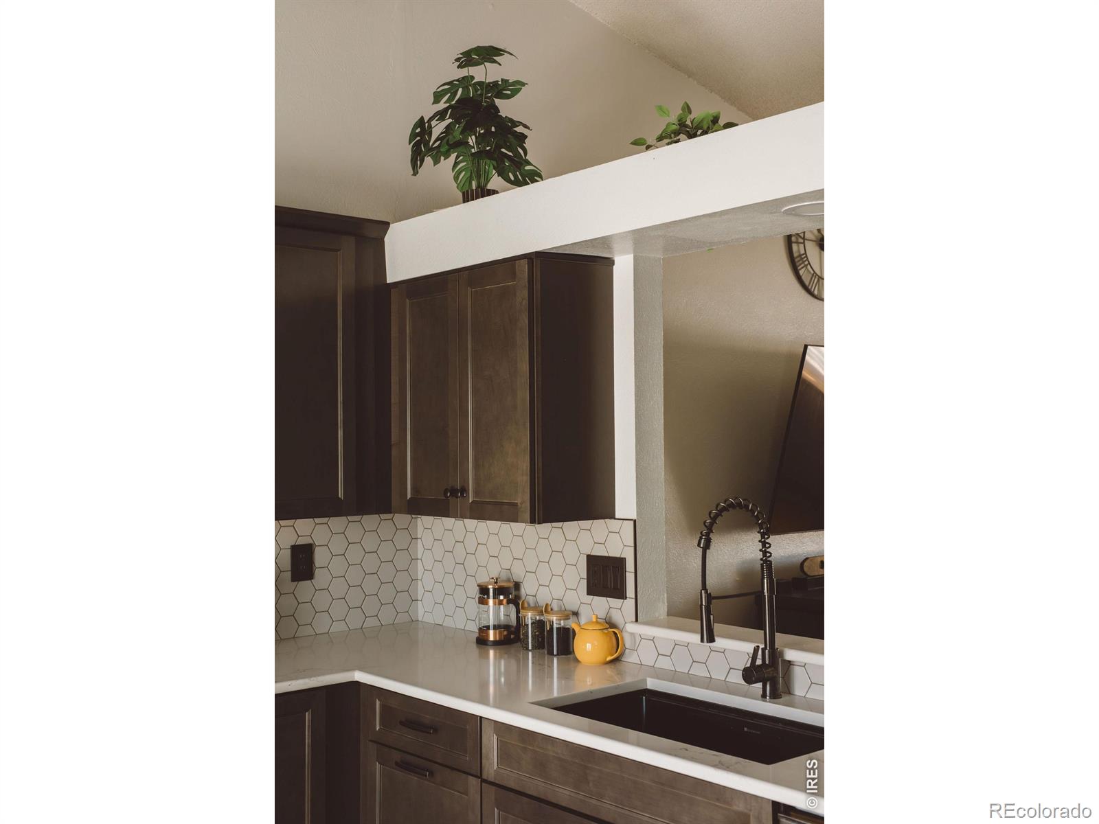 MLS Image #8 for 1400  casa grande boulevard,fort collins, Colorado