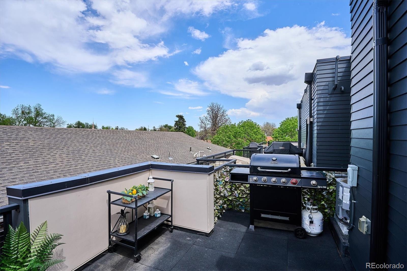 MLS Image #25 for 2061 s milwaukee street,denver, Colorado