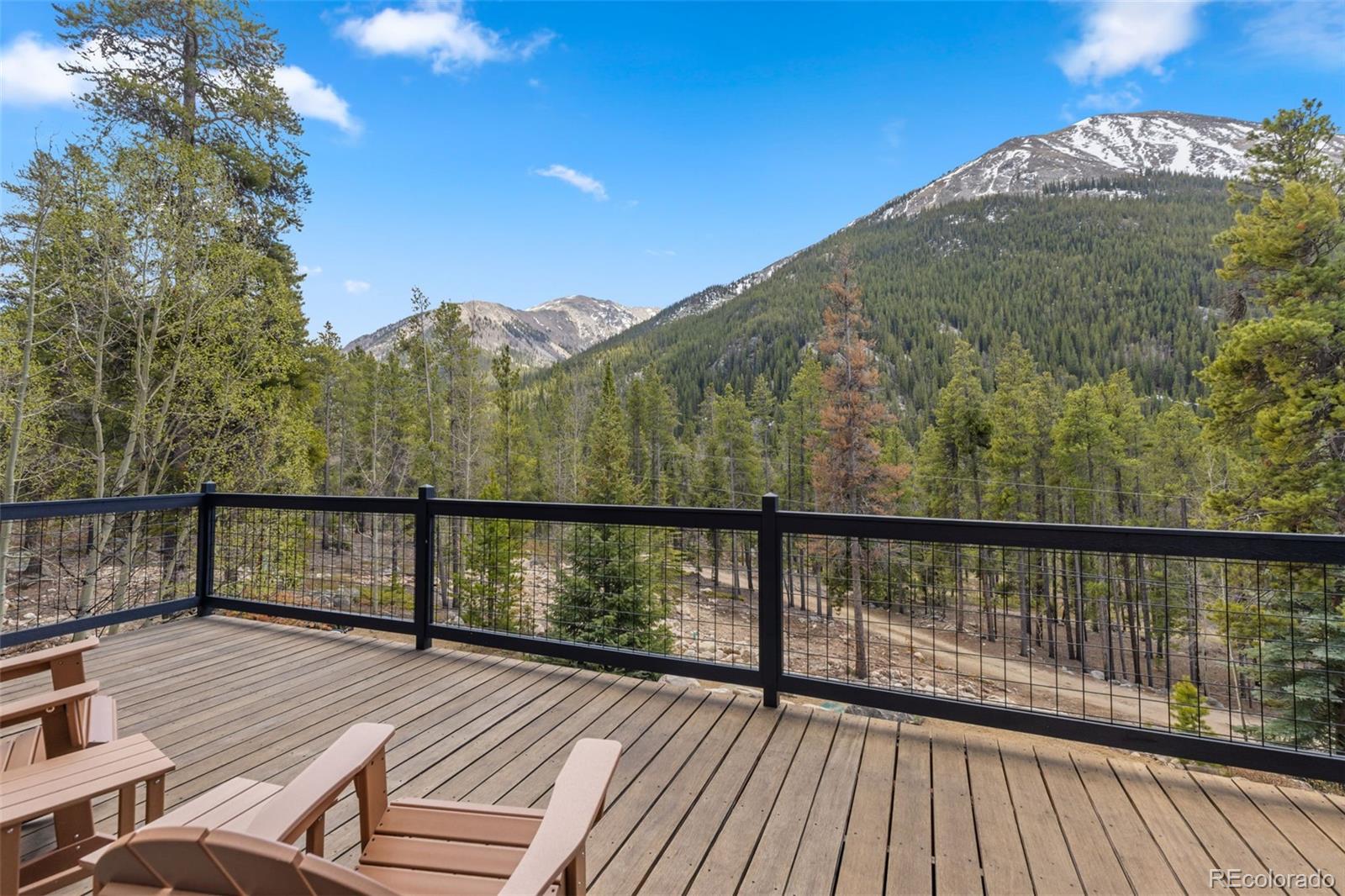 MLS Image #20 for 12715 e state highway 82 ,twin lakes, Colorado