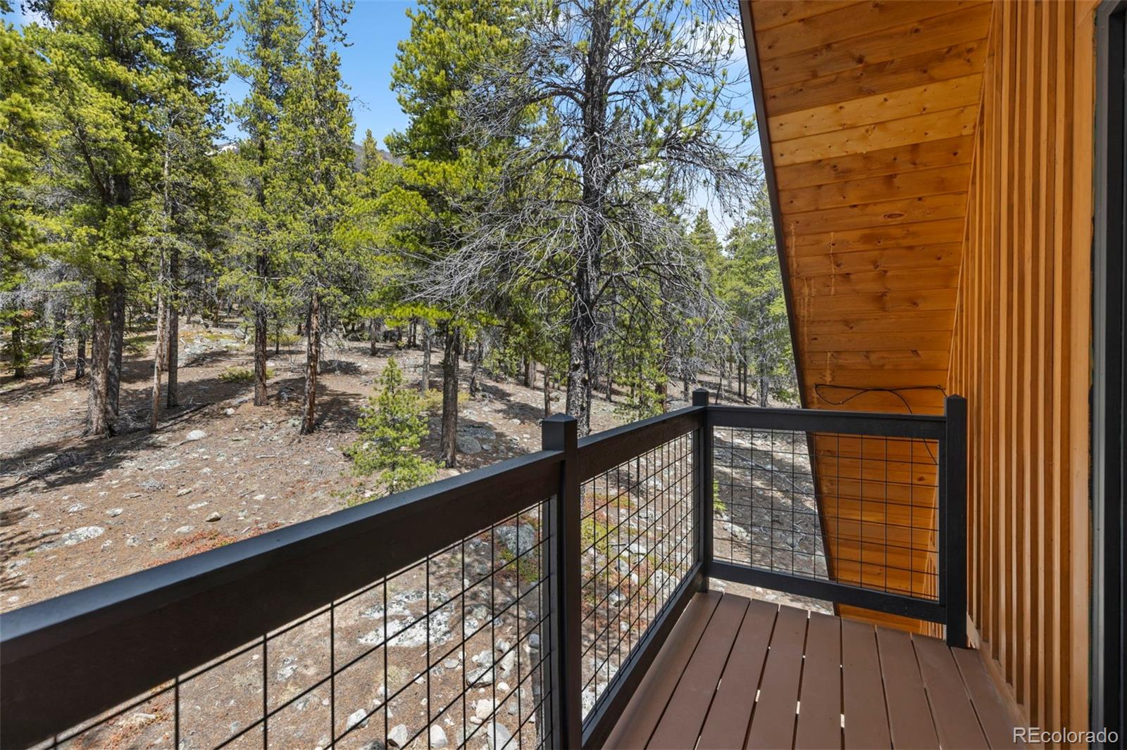 MLS Image #29 for 12715 e state highway 82 ,twin lakes, Colorado