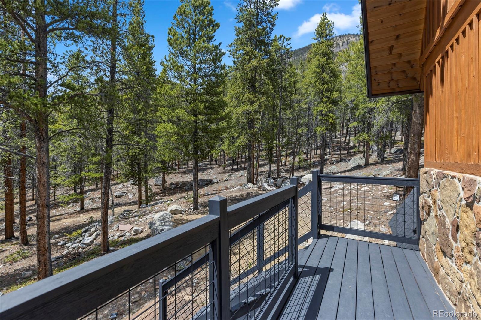 MLS Image #40 for 12715 e state highway 82 ,twin lakes, Colorado