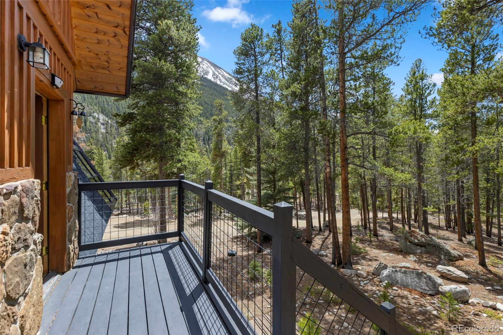 MLS Image #41 for 12715 e state highway 82 ,twin lakes, Colorado