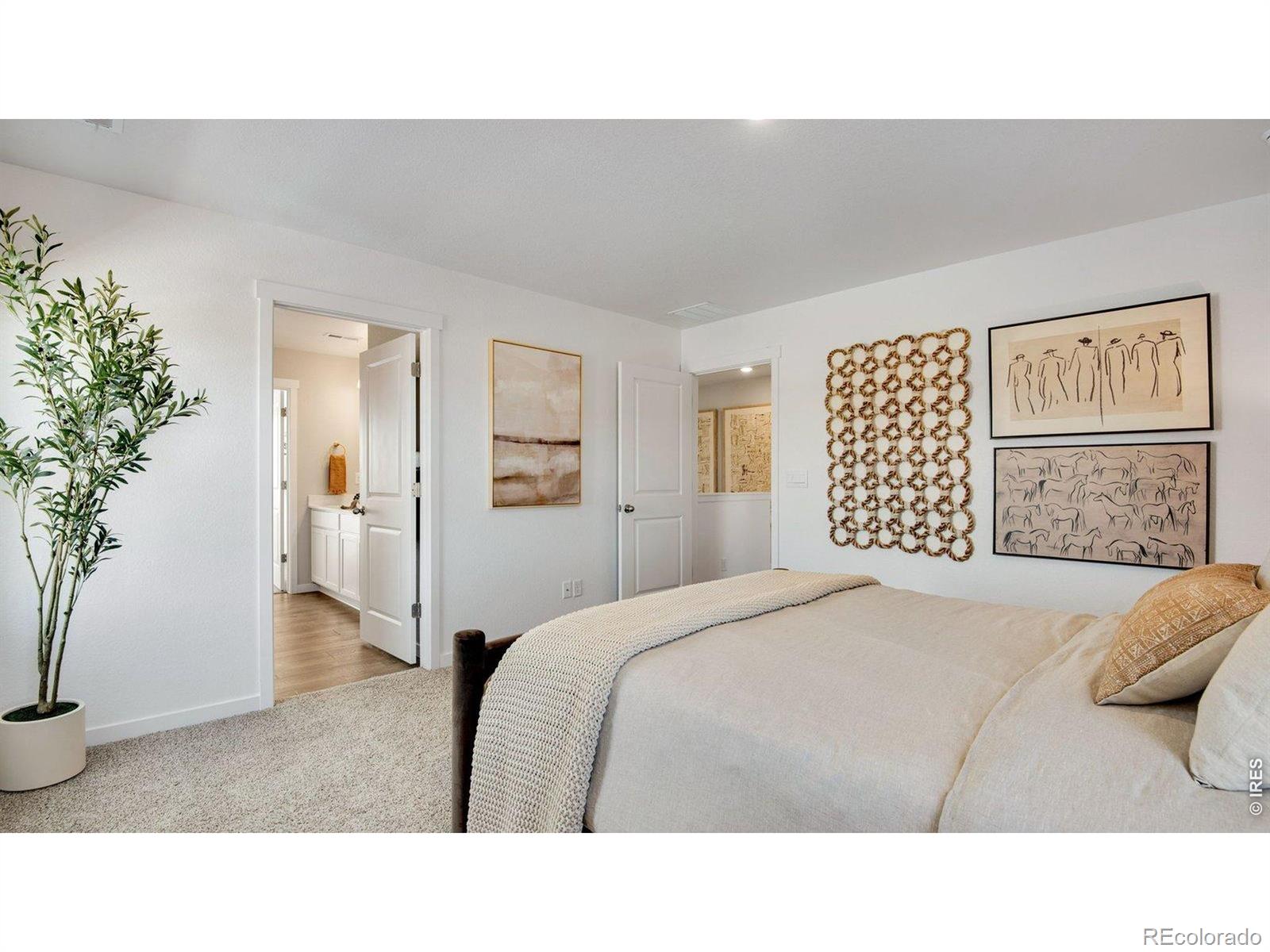 MLS Image #24 for 842  trumpet lane,windsor, Colorado