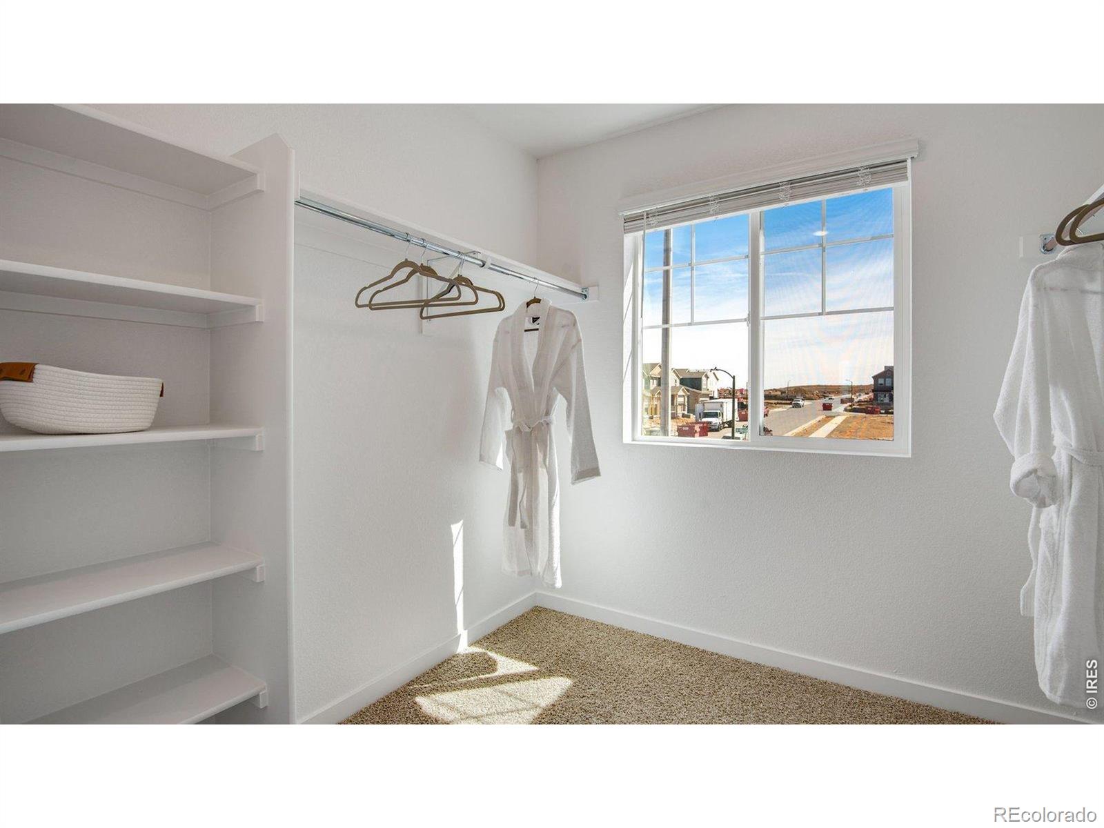 MLS Image #30 for 842  trumpet lane,windsor, Colorado