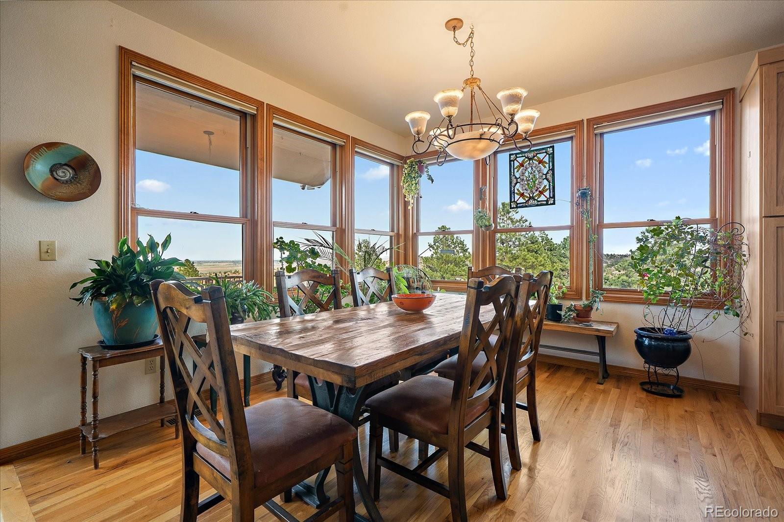 MLS Image #11 for 6698  condor run,littleton, Colorado