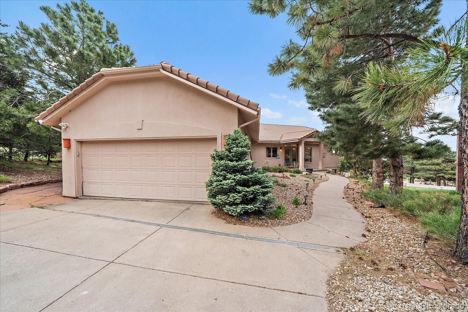 MLS Image #47 for 6698  condor run,littleton, Colorado