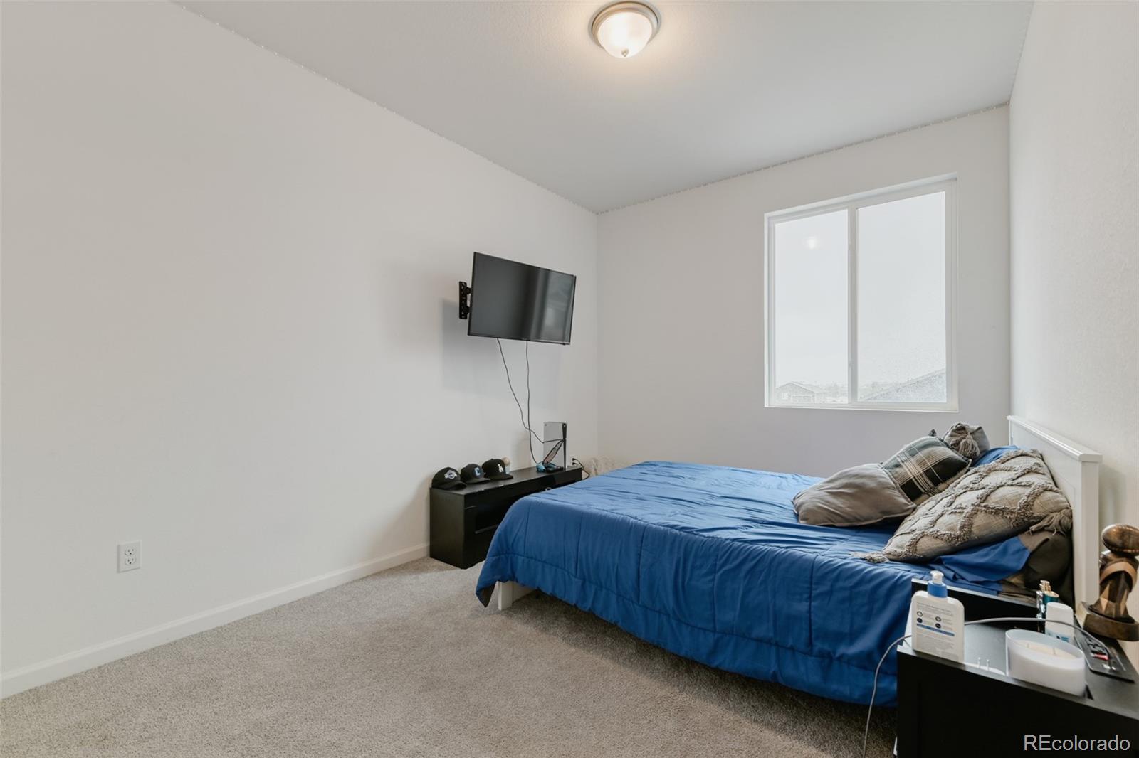 MLS Image #22 for 2922  nectar street,strasburg, Colorado