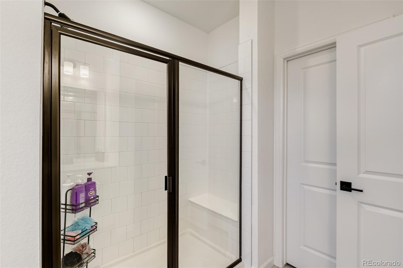 MLS Image #6 for 2922  nectar street,strasburg, Colorado