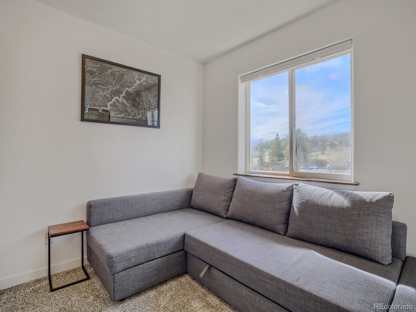 MLS Image #18 for 420  clark street,fairplay, Colorado