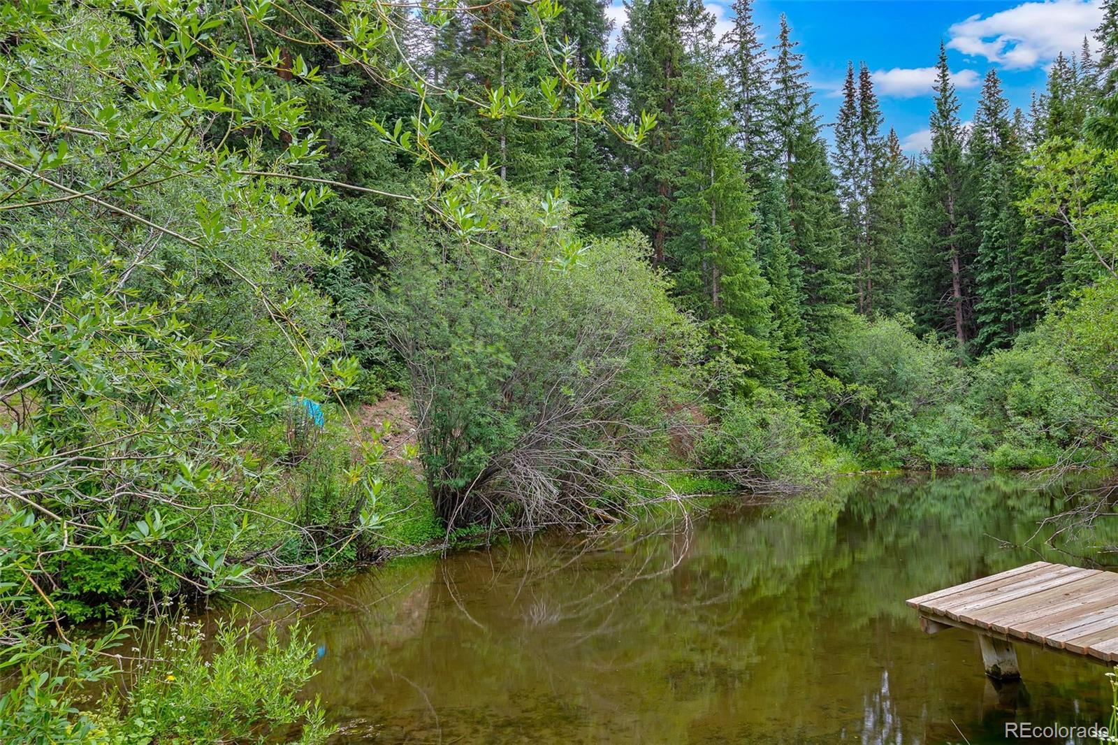 MLS Image #16 for 136  lance lane 2,breckenridge, Colorado