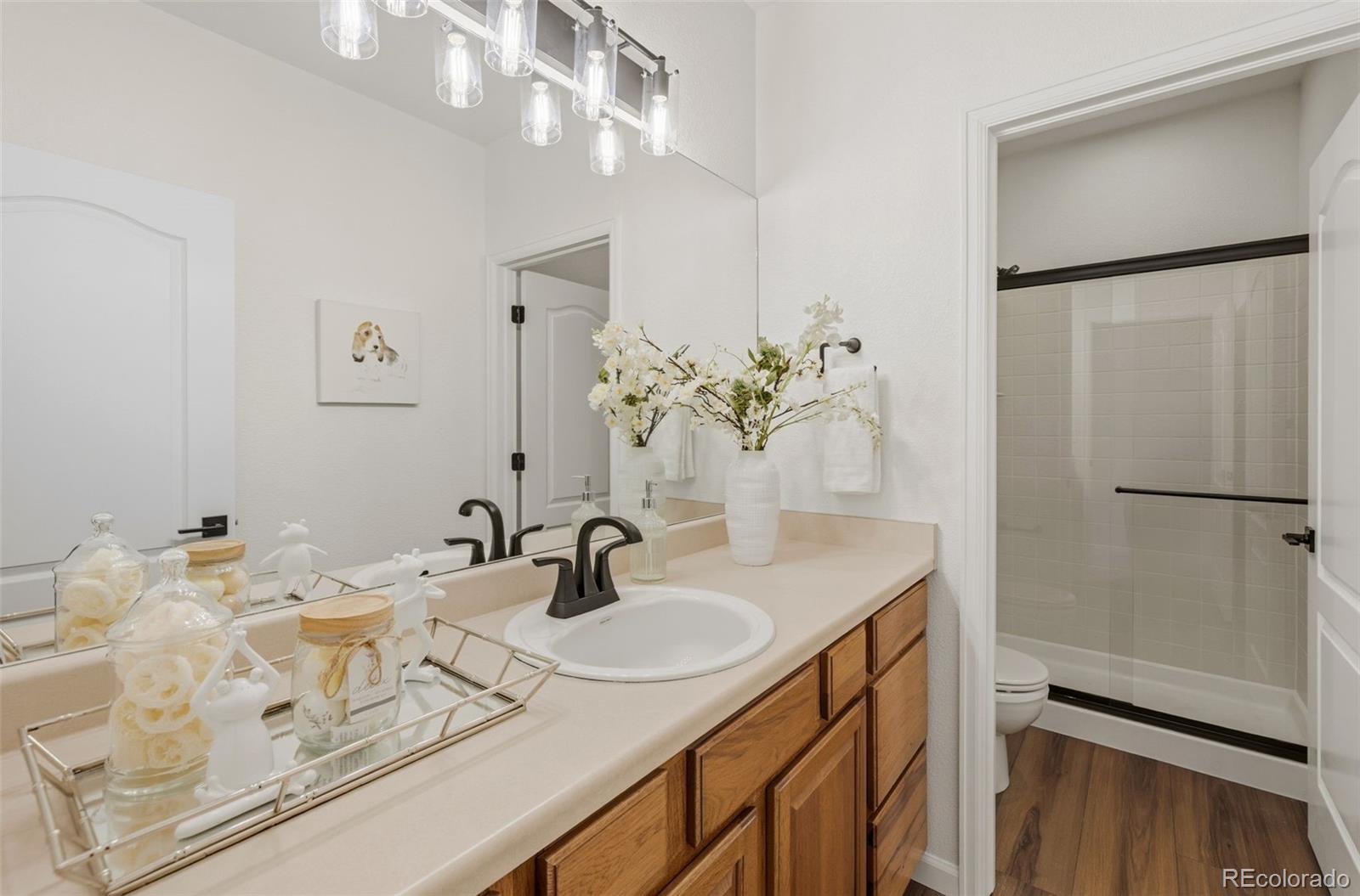 MLS Image #40 for 3311  silver pine trail,colorado springs, Colorado