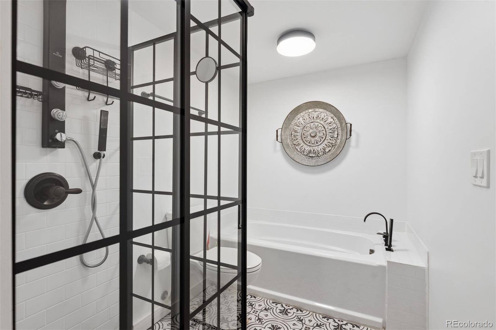MLS Image #43 for 1278  clermont street,denver, Colorado