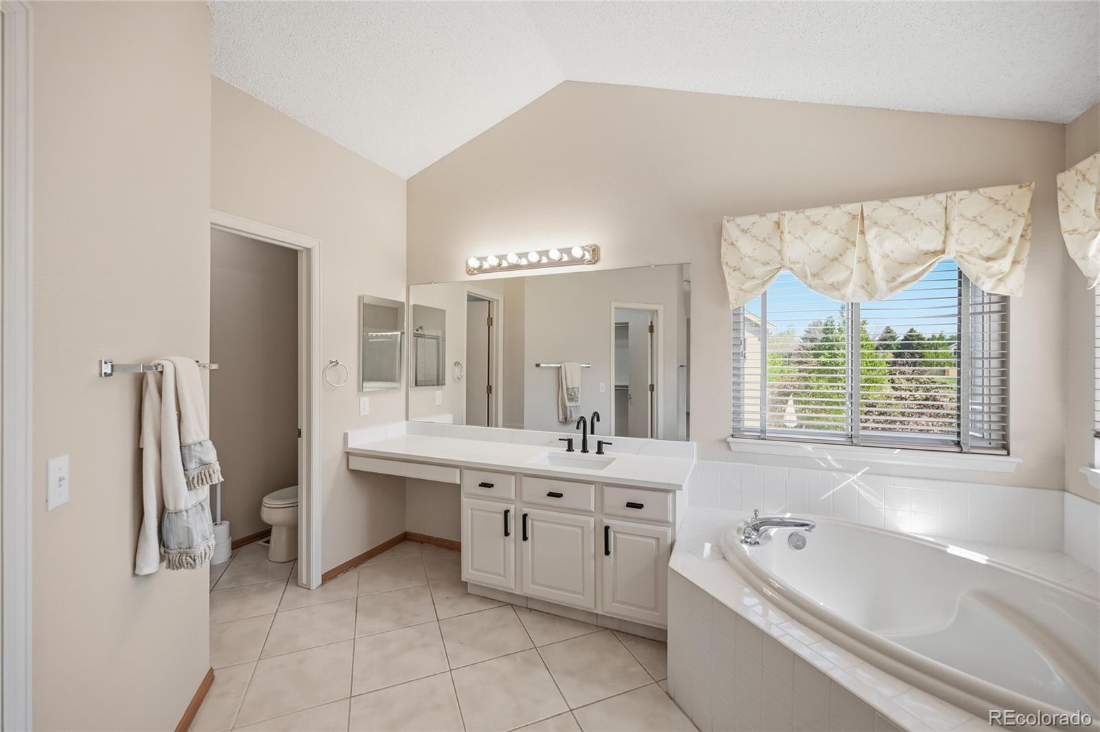MLS Image #13 for 10907  baxter drive,parker, Colorado