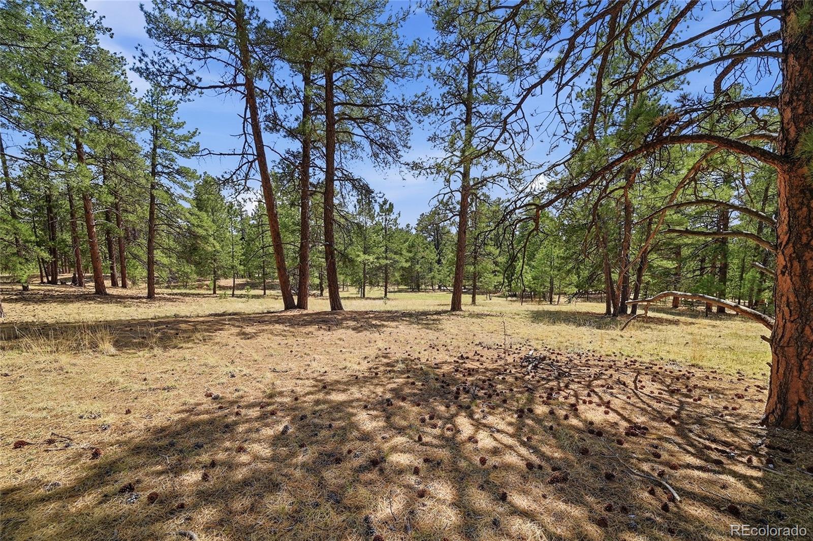 MLS Image #20 for 35446  running brook lane,elizabeth, Colorado