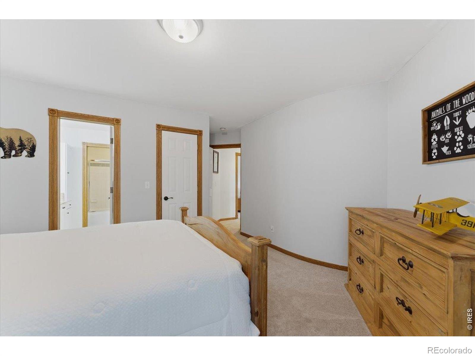 MLS Image #28 for 210  southside court,fort collins, Colorado