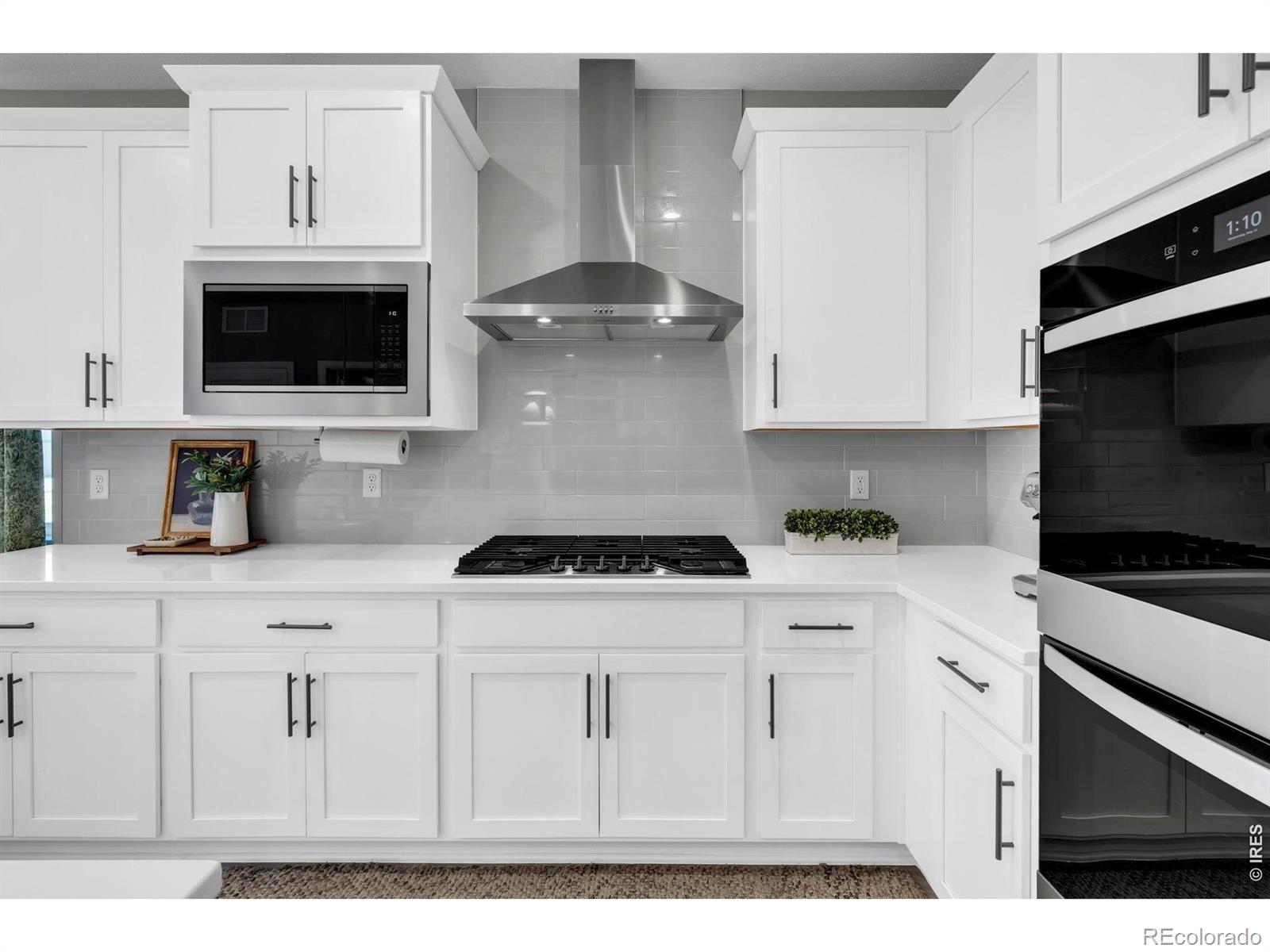 MLS Image #10 for 2718  bear springs circle,longmont, Colorado