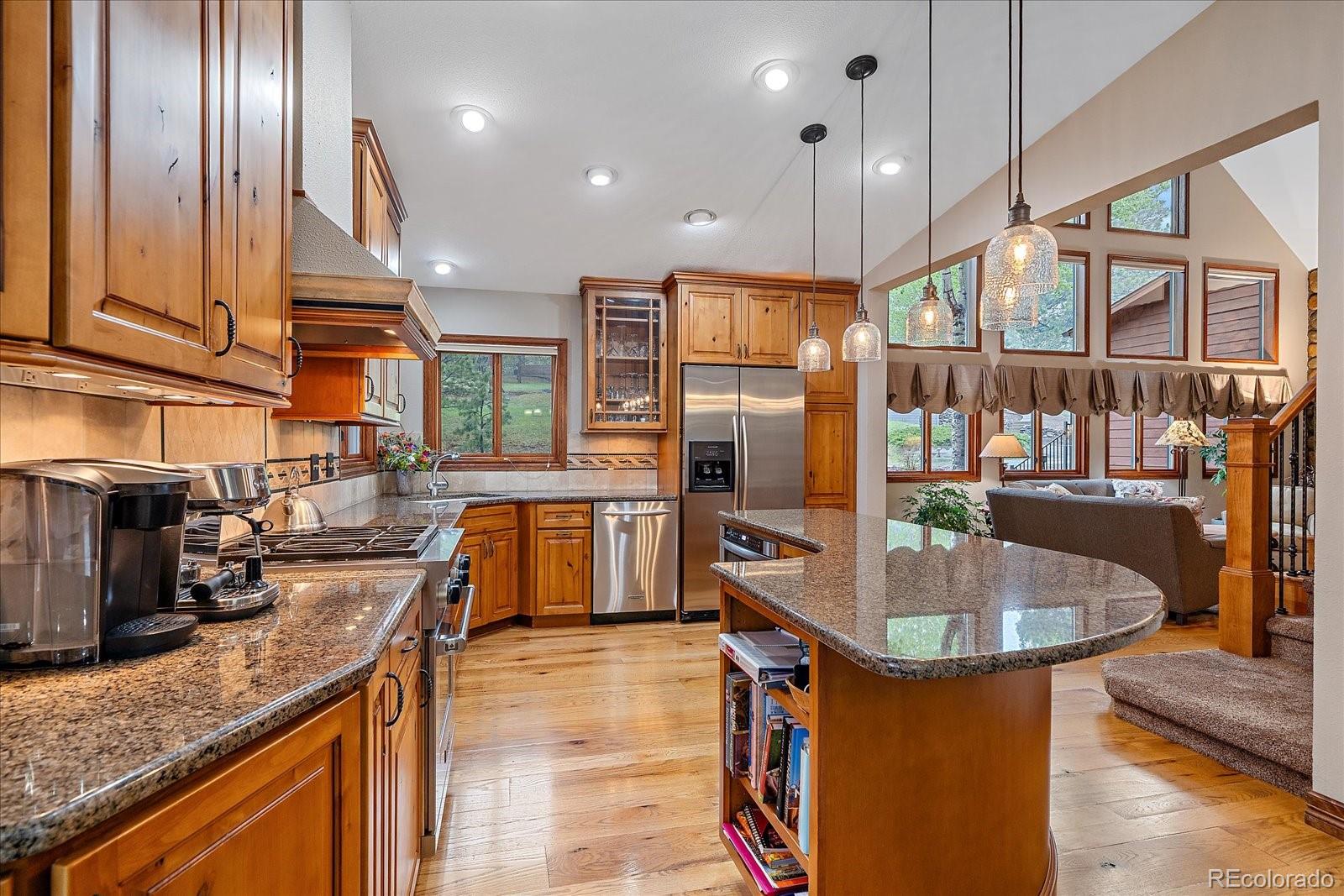 MLS Image #10 for 31353 n bermuda dunes drive,evergreen, Colorado