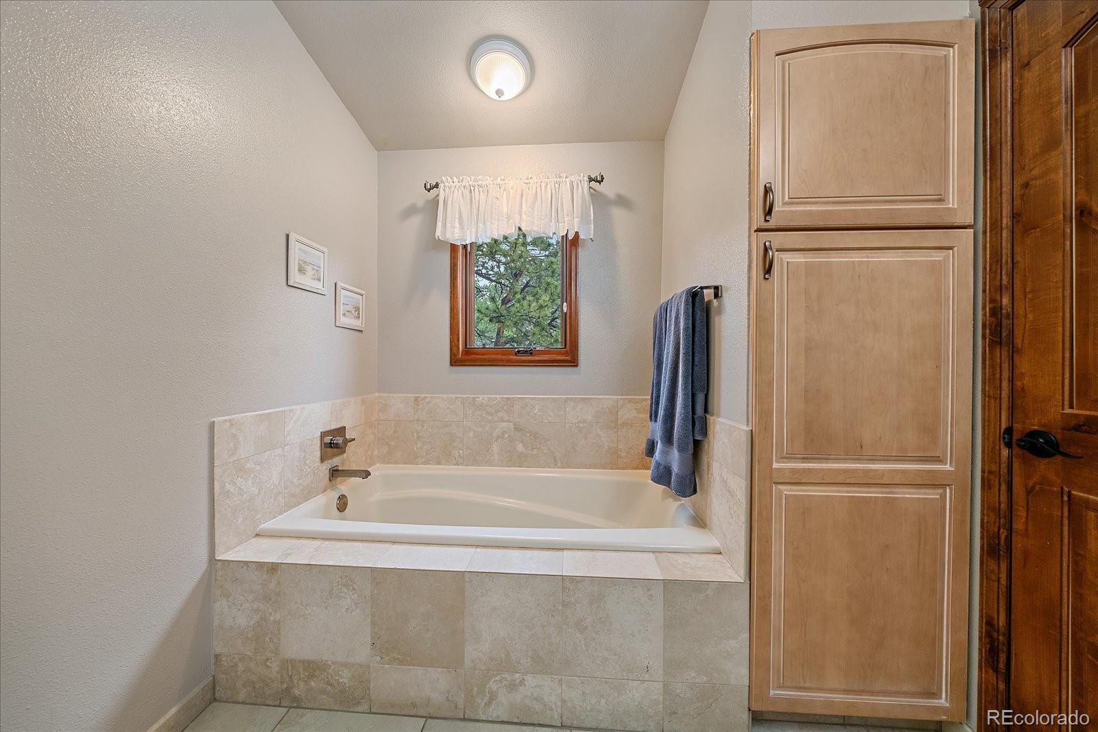 MLS Image #29 for 31353 n bermuda dunes drive,evergreen, Colorado