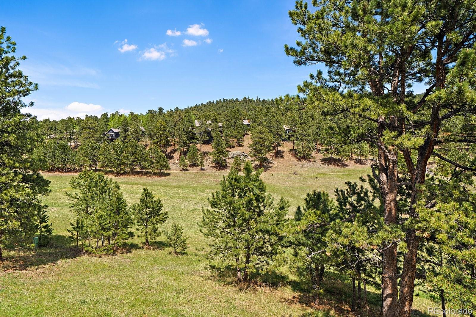 MLS Image #43 for 31353 n bermuda dunes drive,evergreen, Colorado