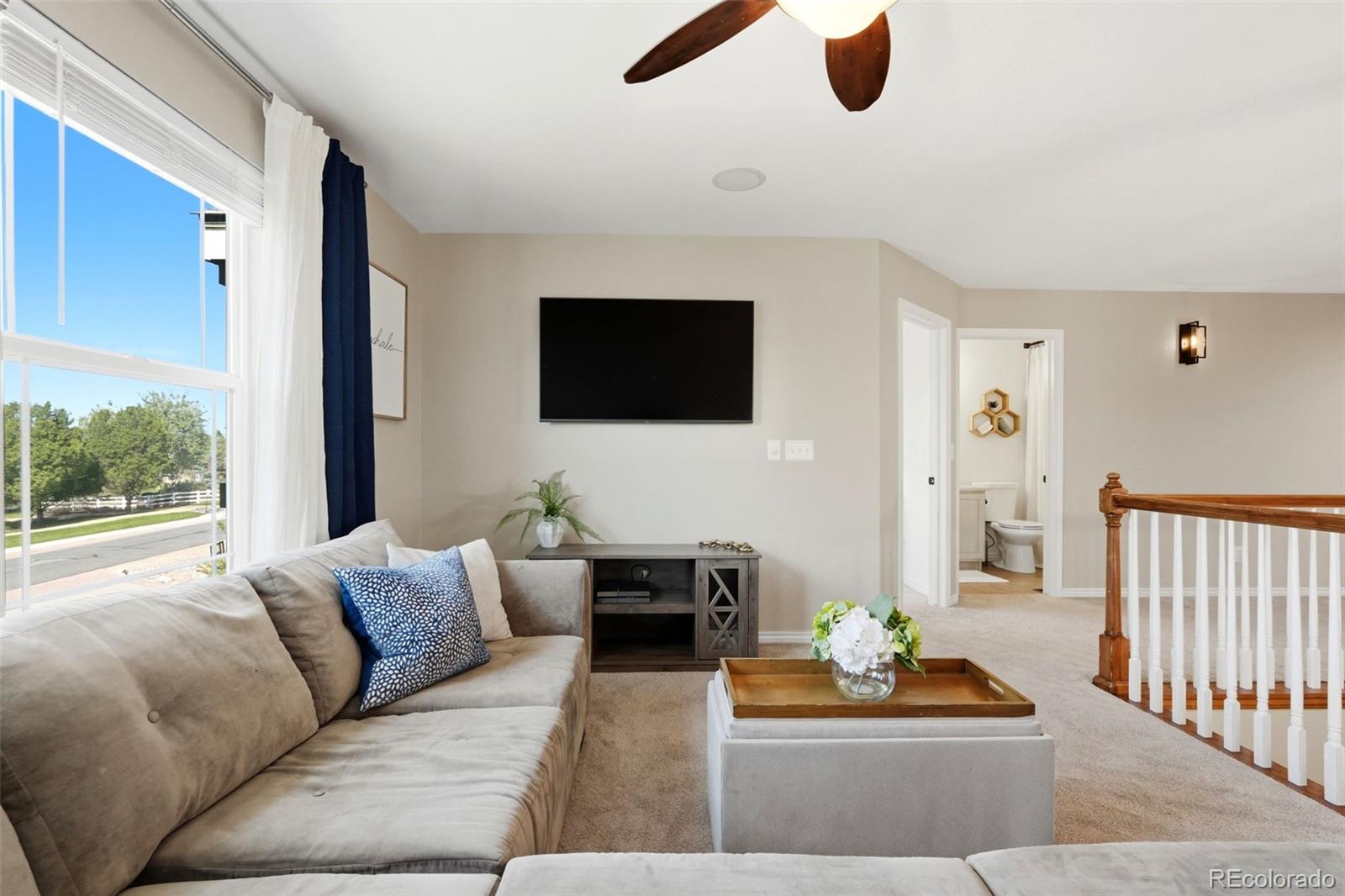 MLS Image #20 for 8675 e 162nd avenue,brighton, Colorado