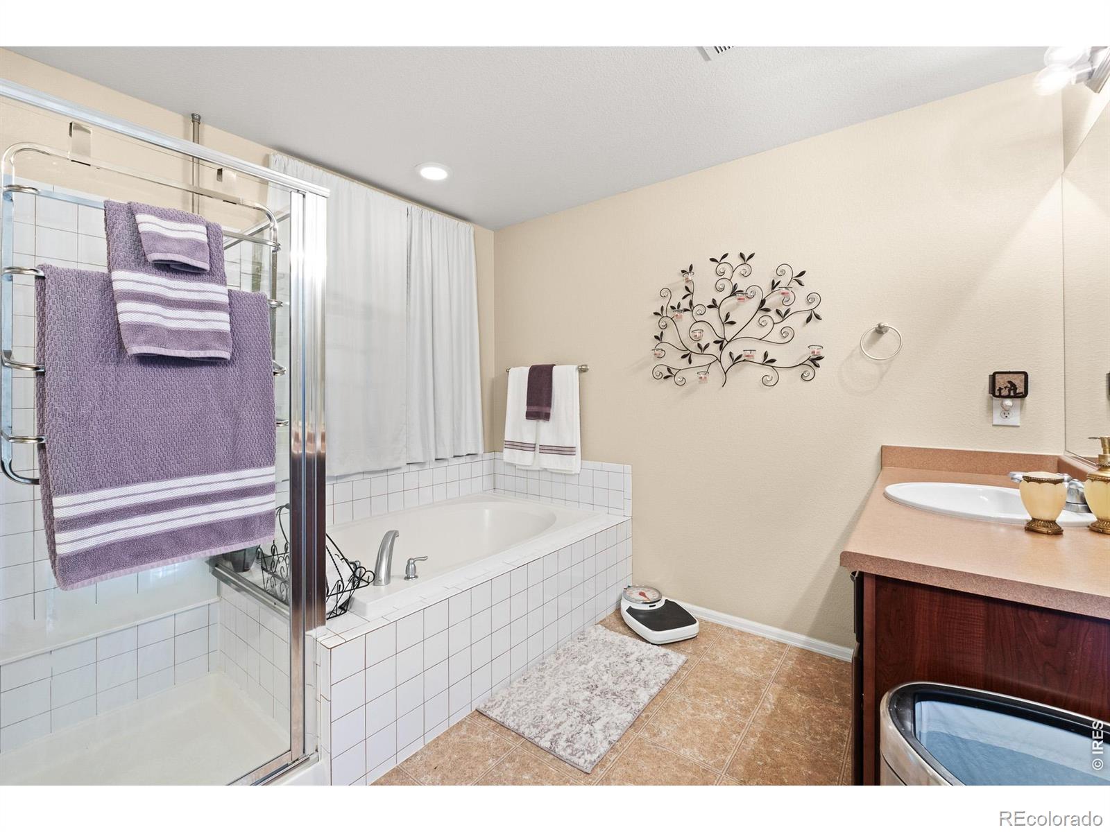 MLS Image #18 for 5726  graphite street,timnath, Colorado