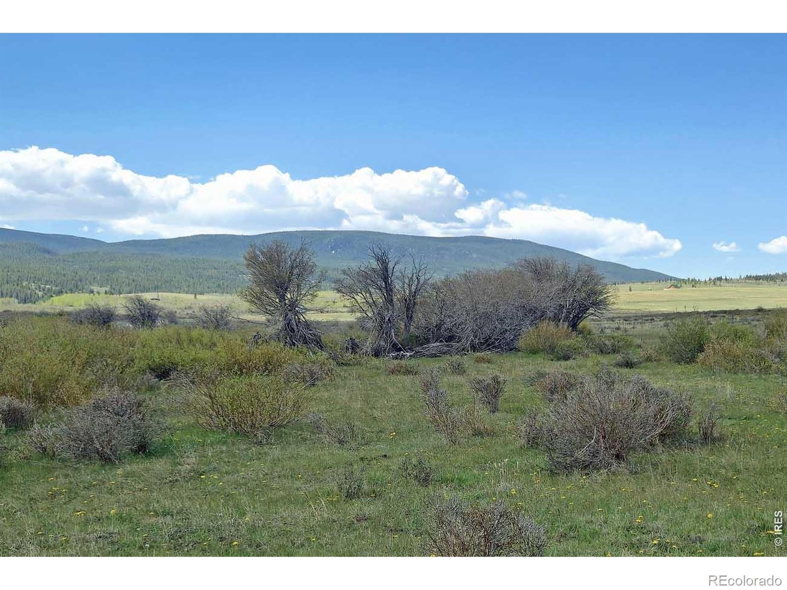 MLS Image #3 for 1730 n county road 89 ,, Colorado